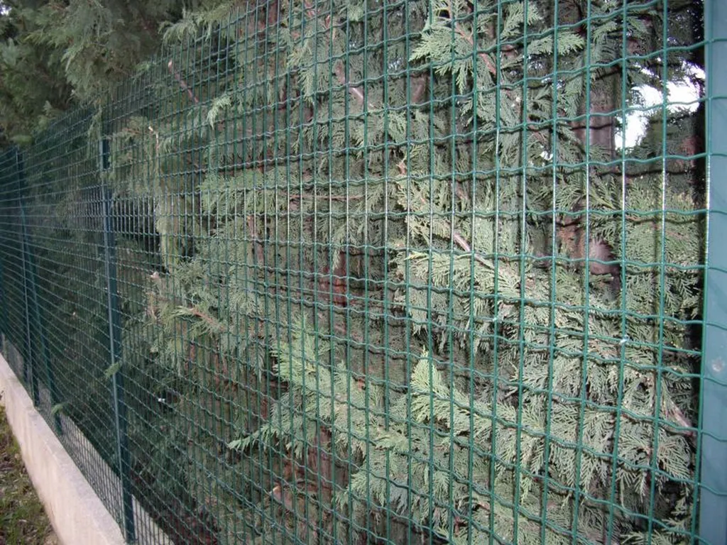 grillage soudé sur eguilles