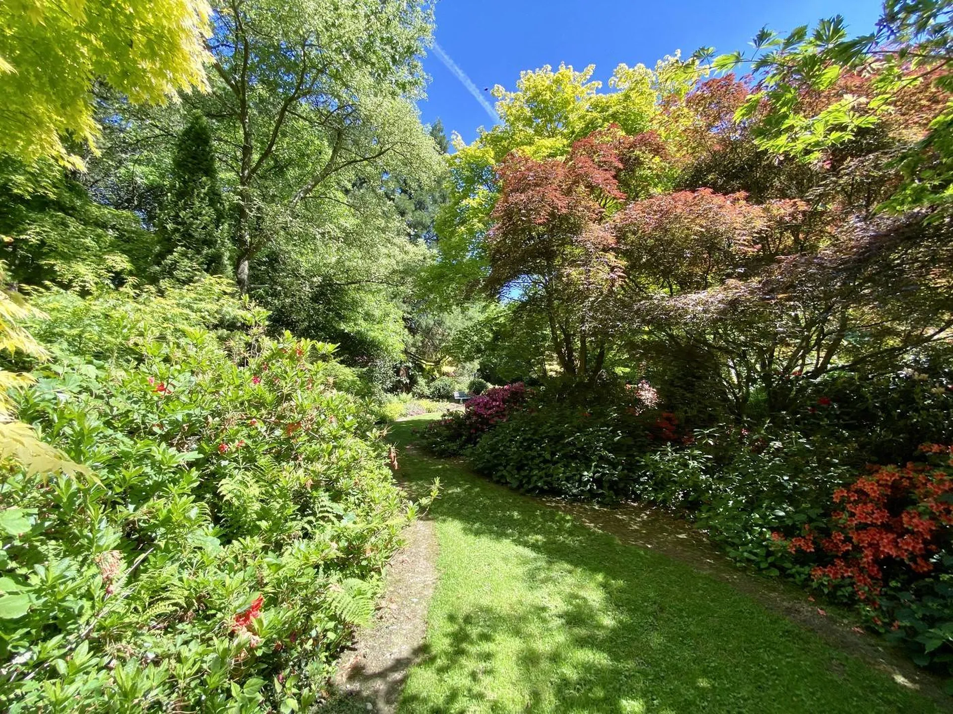 A vendre maison normande construite sur un parc de 6080 m² magnifiquement arboré