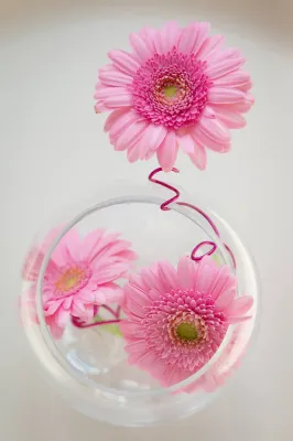 Wedding planner pour décoration mariages 