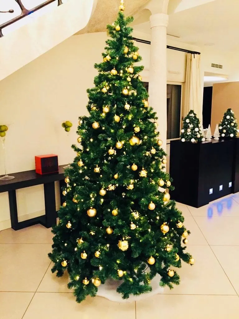 VOS SAPINS DE NOËL par FH Fleuriste