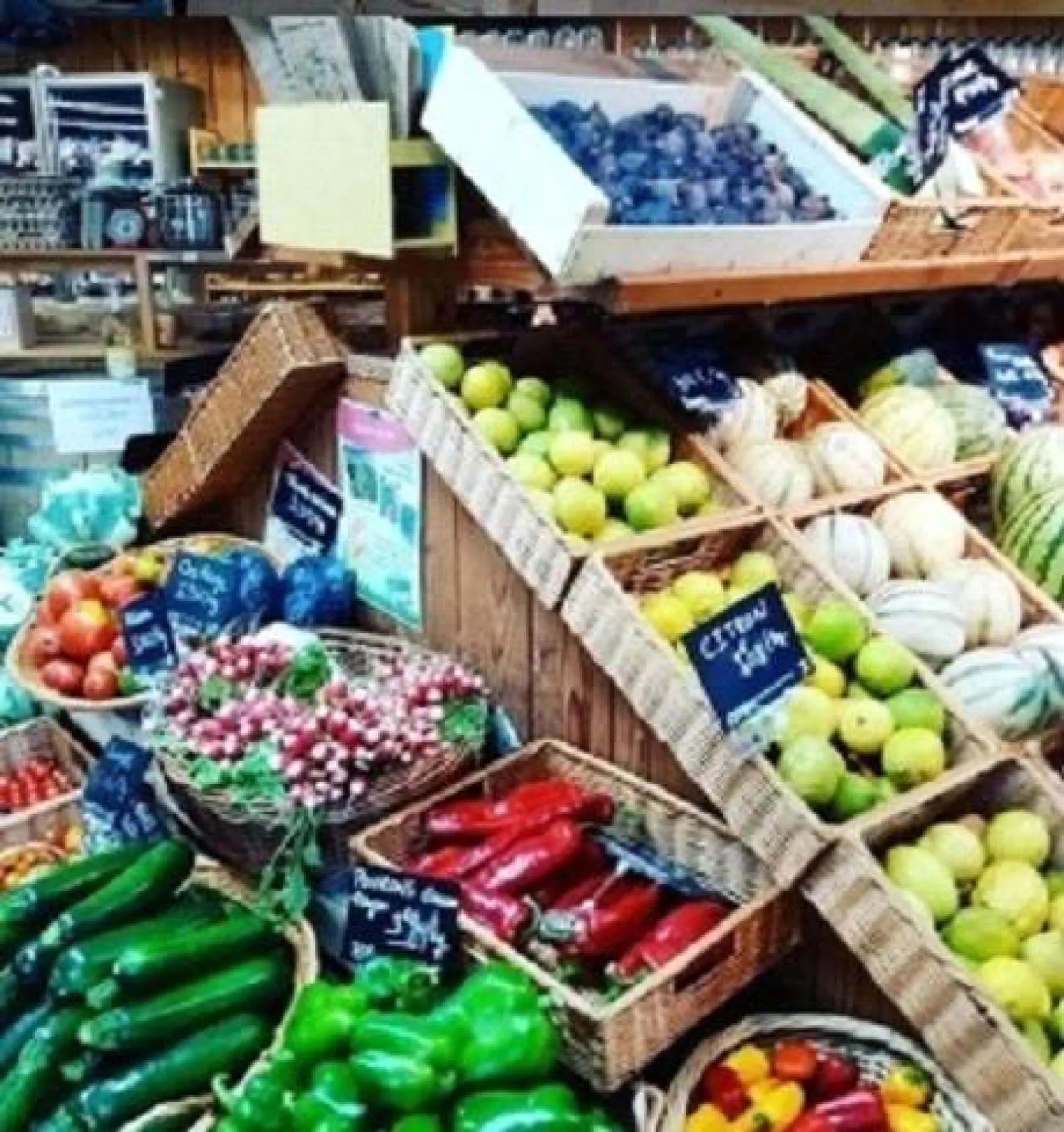 légume bio de qualité pas cher proche Belleville 69 