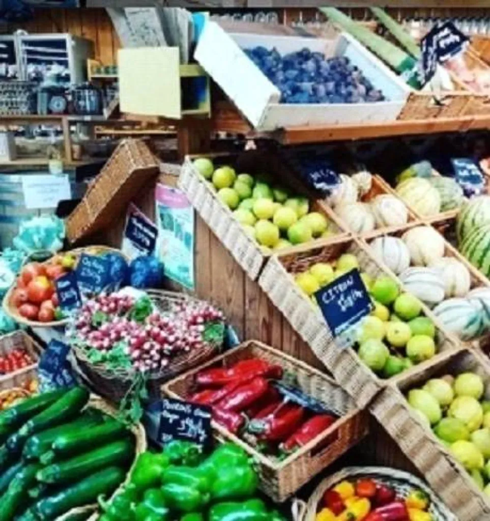 légume bio de qualité pas cher proche Belleville 69 