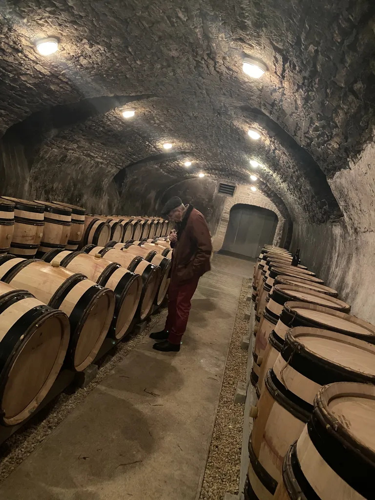 Le vin, boisson passionnante, savoir-faire intellectualisé, mise en valeur des terroirs, des cépages, des hommes et des papilles