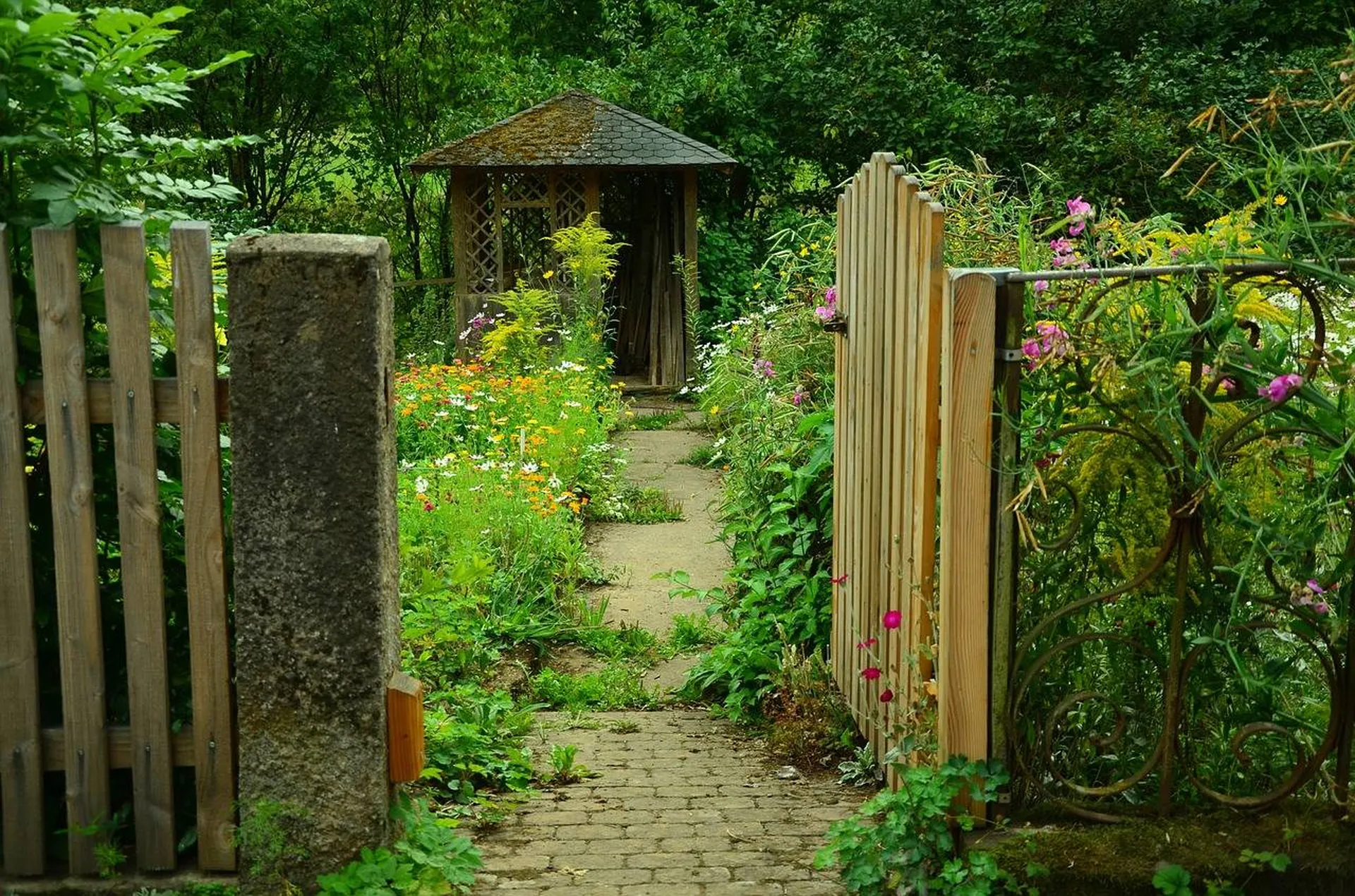 Conception et création de jardin dans le Nord Gironde, secteur Saint André de Cubzac