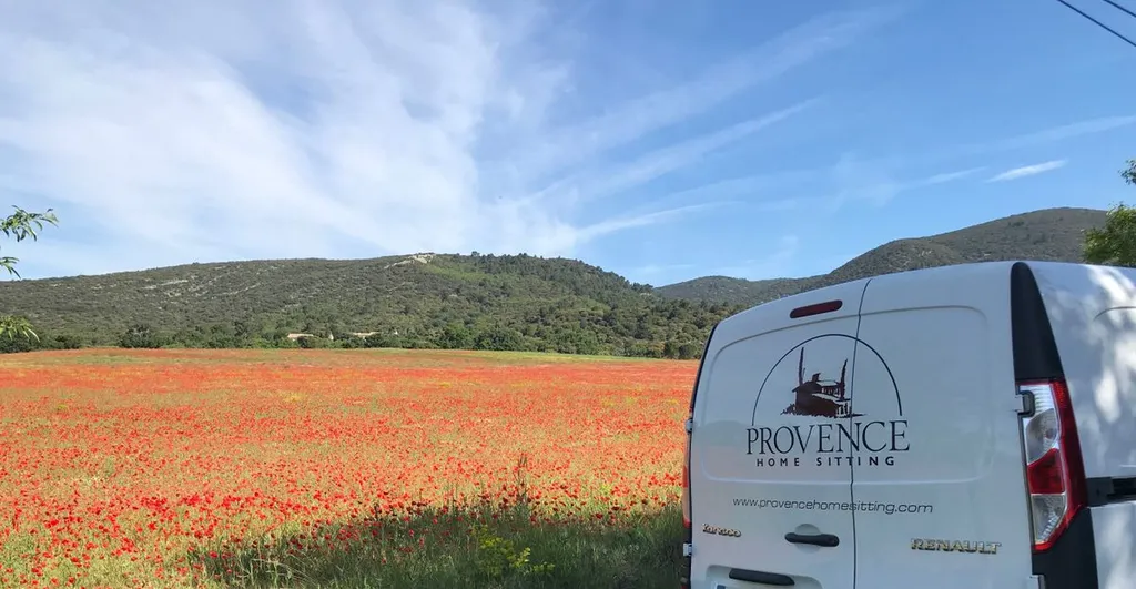 Busy period in the Luberon !