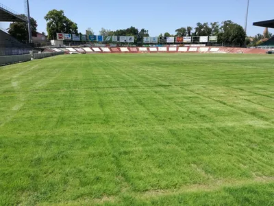 Regarnissage ensemencement Ray grass terrain naturel rugby