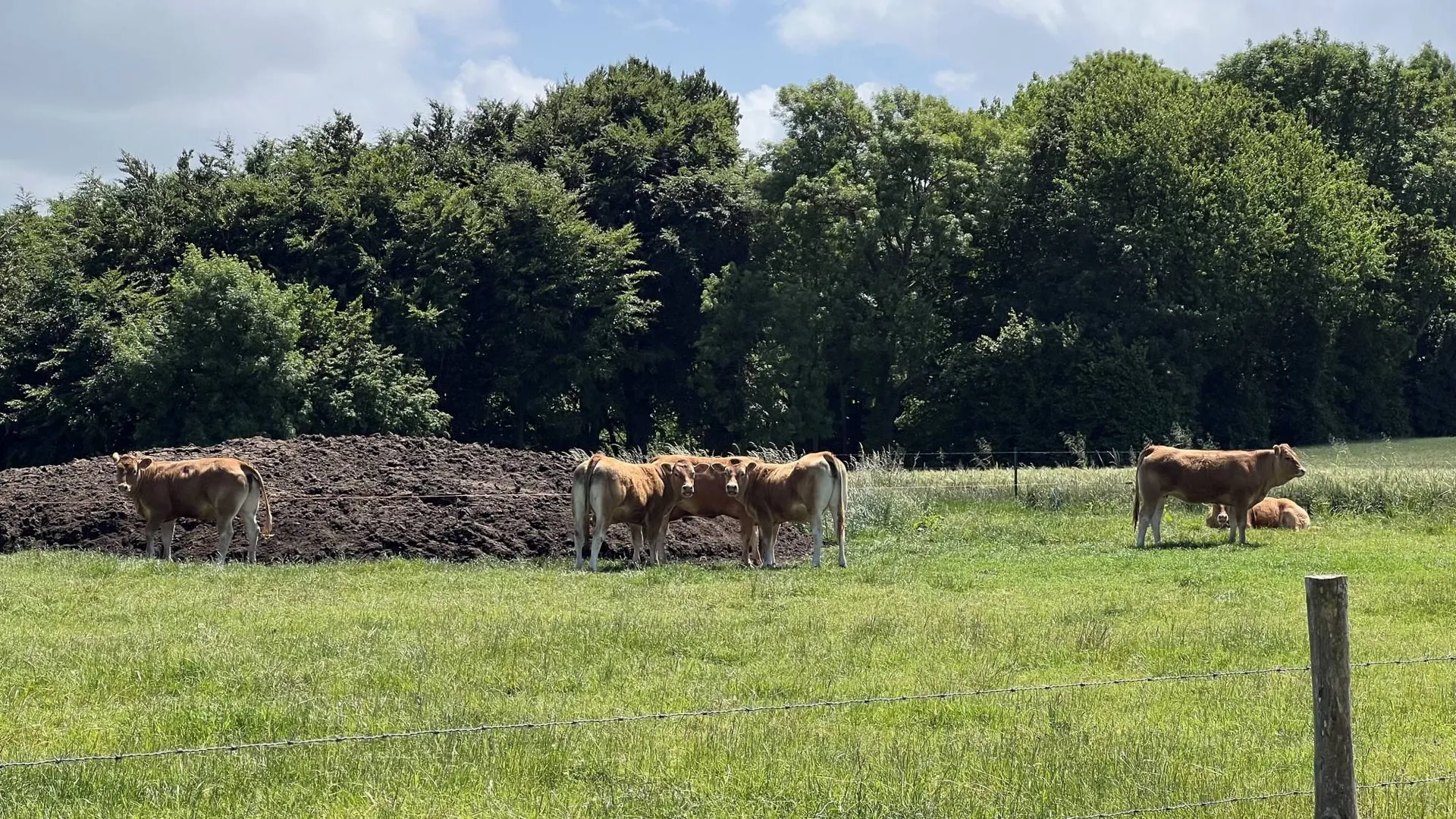 Profitez du calme de la campagne à moins de 2h30 des portes de Paris 75000.