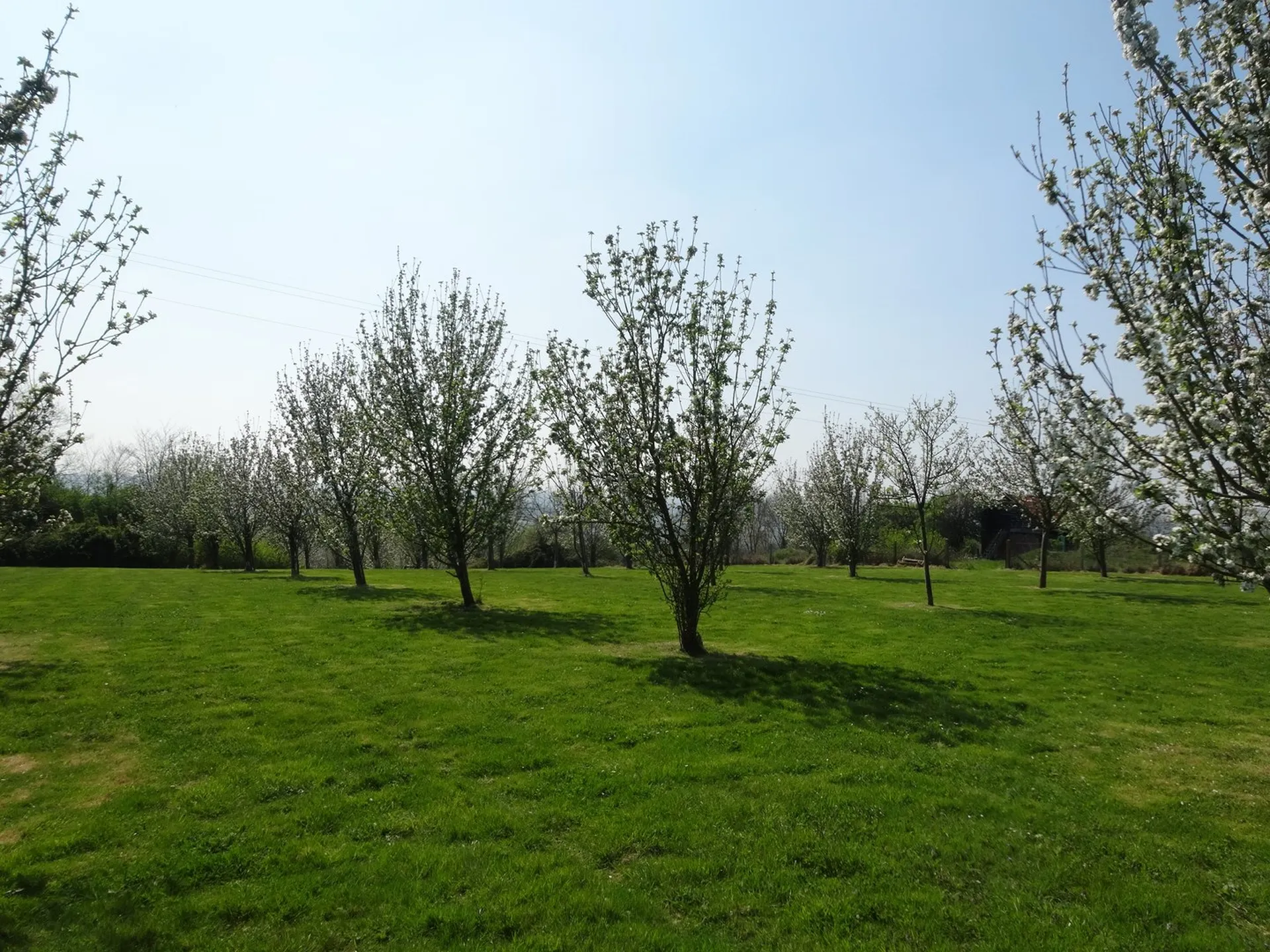 Jardin arboré Deauville Calavados