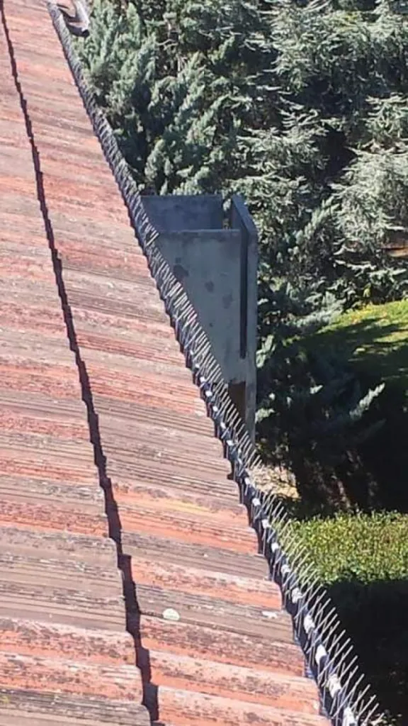 système anti pigeon alleins 13980