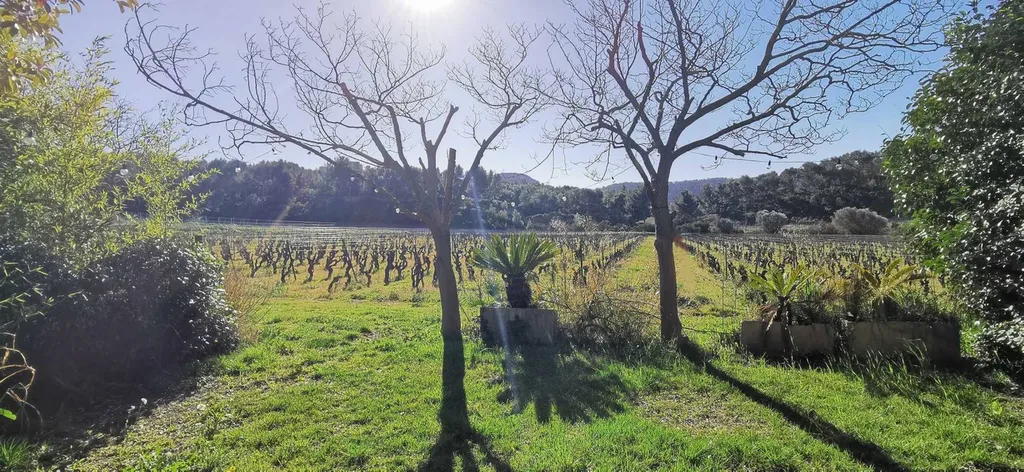 Cassis maison à vendre au milieu des vignes