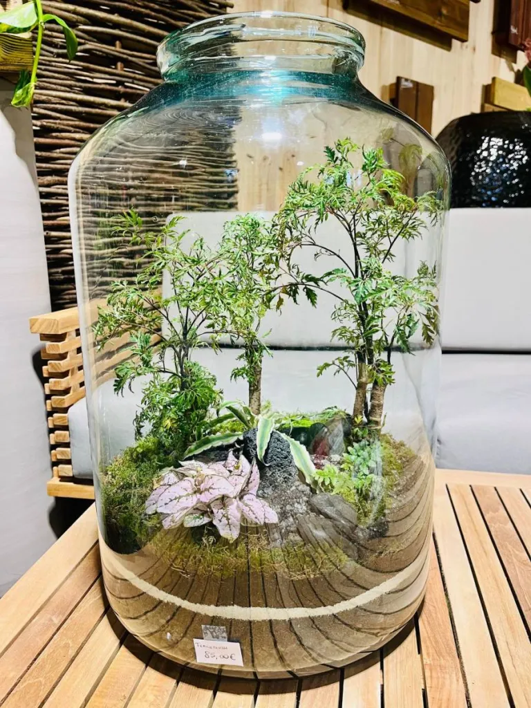 TERRARIUMS
