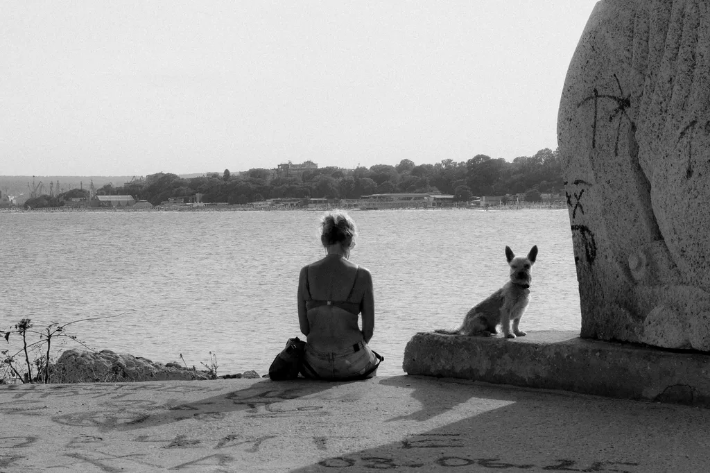 Psychologie animale et humaine : découvrez la constellation familiale et animale intuitive avec Valérie Guillet à Amiens