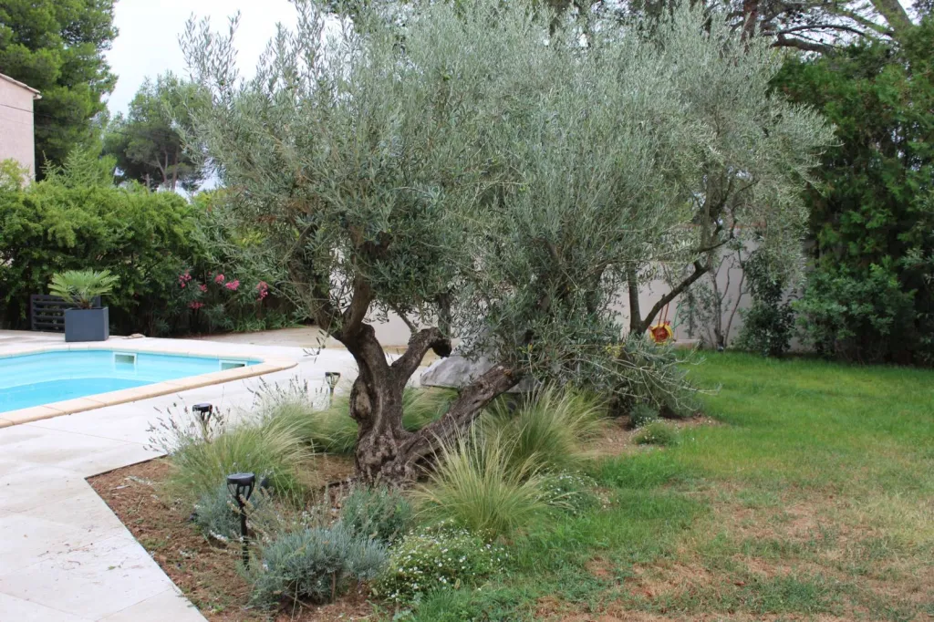 Aménagement d'un jardin contemporain sur Les Angles