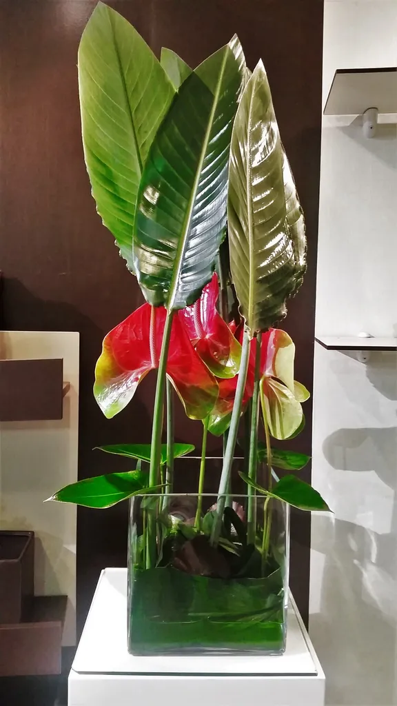 composition de fleur genève