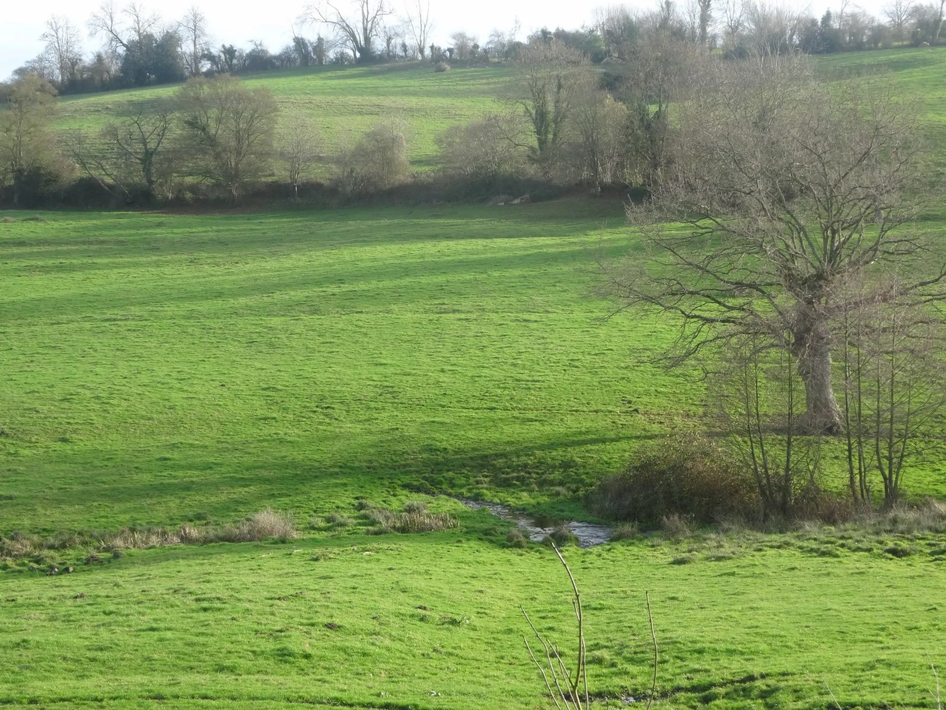Rivière Pays d'Auge promenade