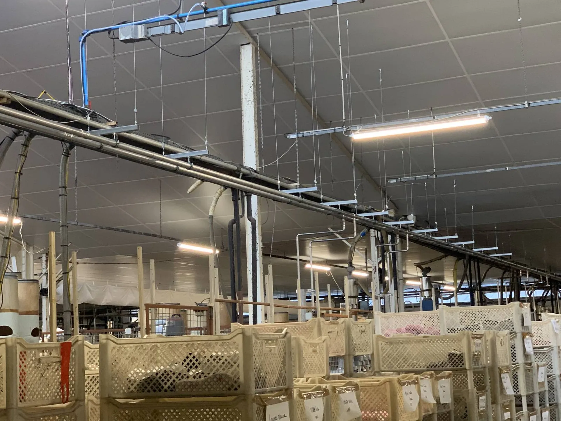 Distribution eau glacée