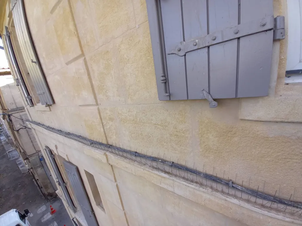 anti pigeon piques sur façades maison de ville