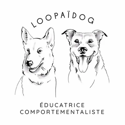 educatrice canin Biscarosse 