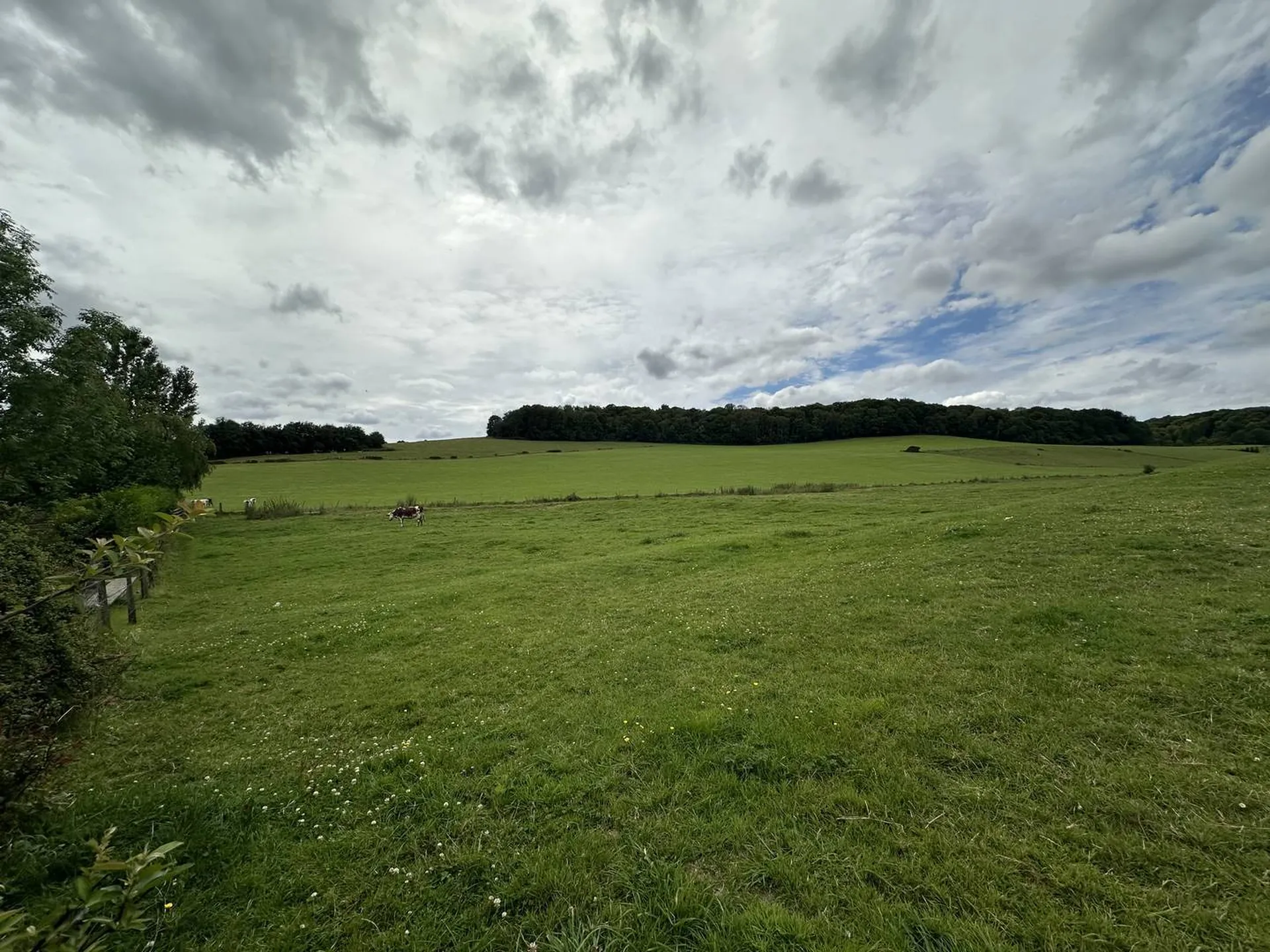 Vends terrain avec CU positif