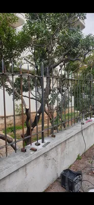 fabrication et pose de cloture métallique à Nice