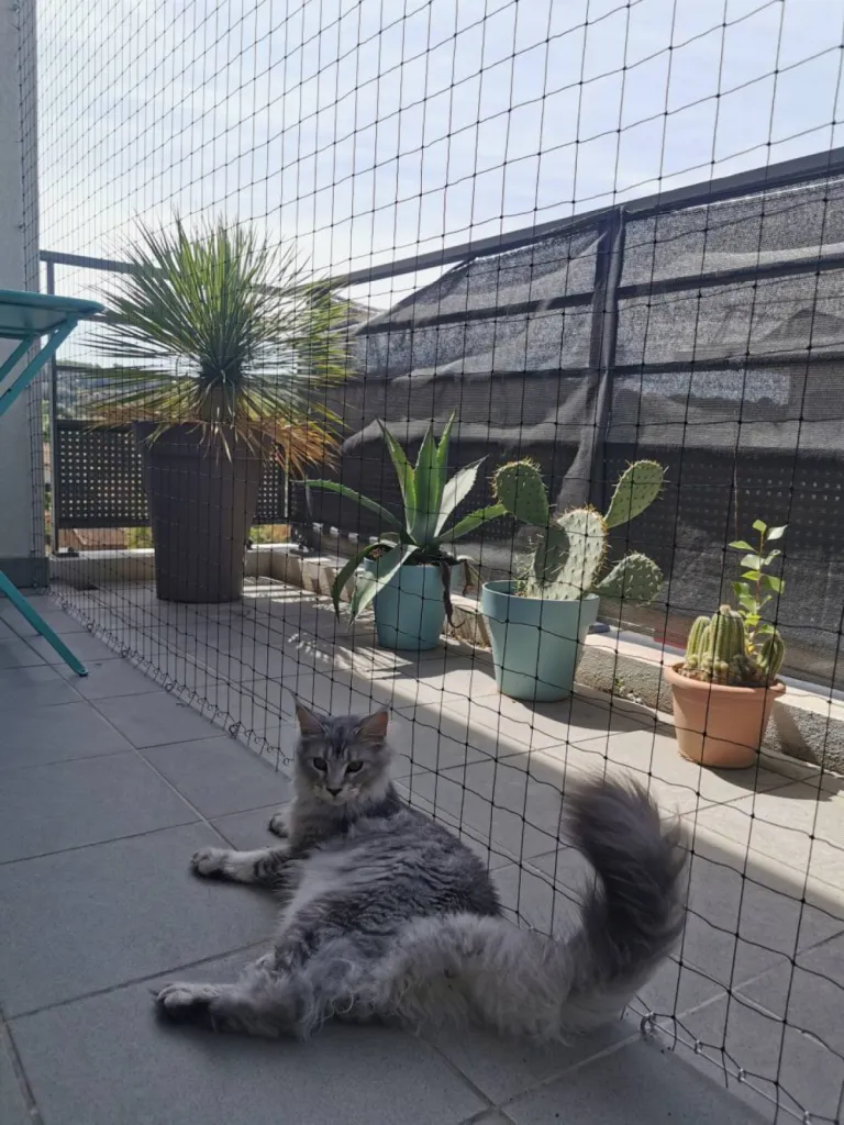 filet anti chute pour chat à marseille 13