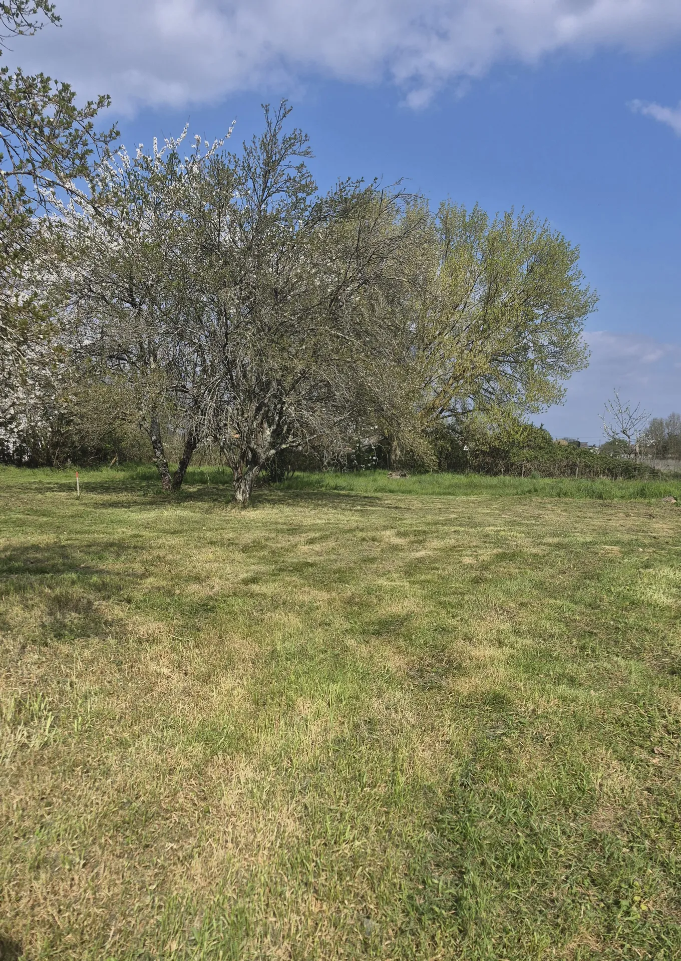 Terrain sur le secteur de Saint Médard de Guizières