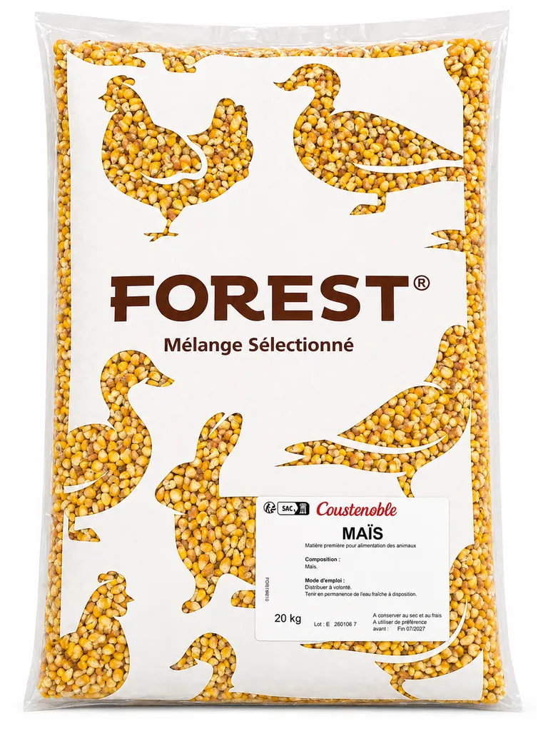 Maïs grain pour alimentation animale – céréale de qualité pour élevage et particuliers