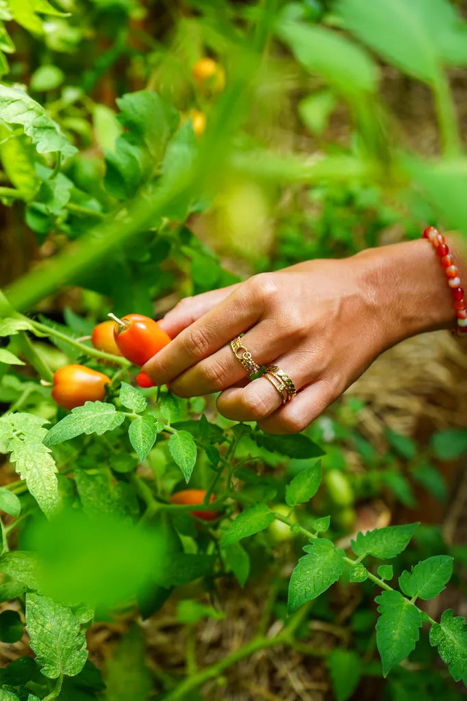 Nullam facilisis massa primis praesent ligula gravida