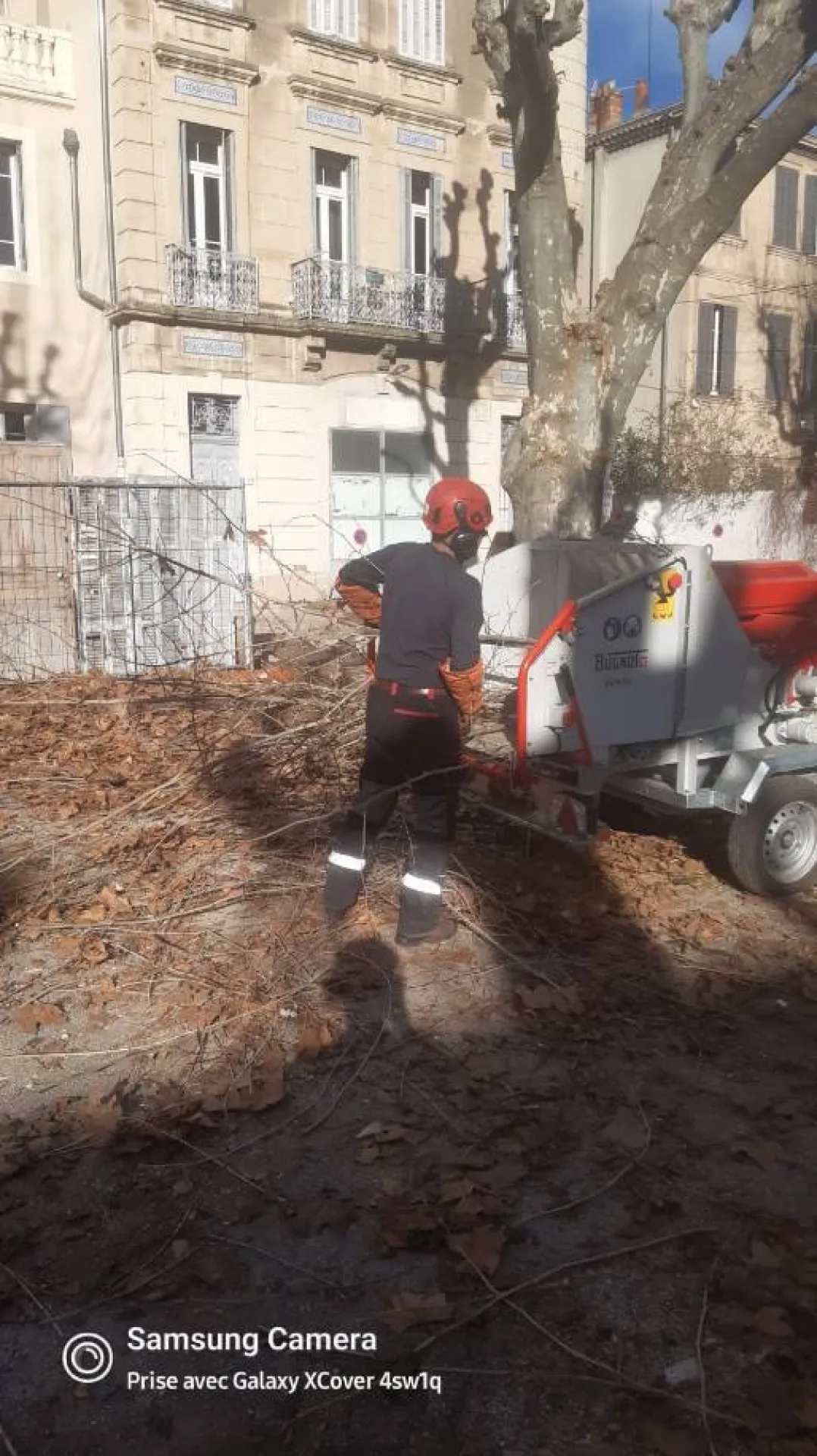 Elagage de 2 gros platanes Salon de Provence par les experts d AEP Elagage de 2 gros platanes Salon de Provence par les experts d AEP