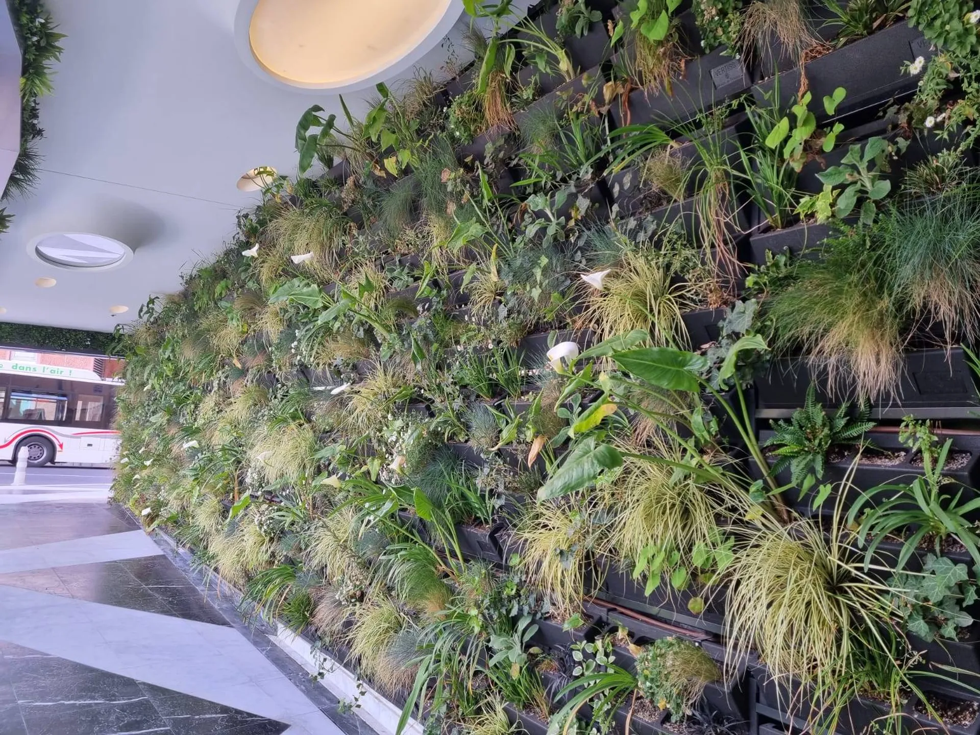 Mur végétalisé réalisé à Monaco