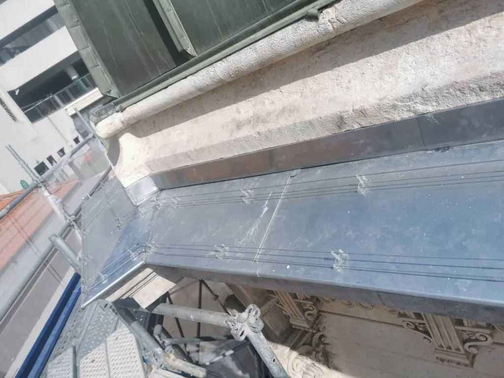 système contre les pigeons à monaco 98000