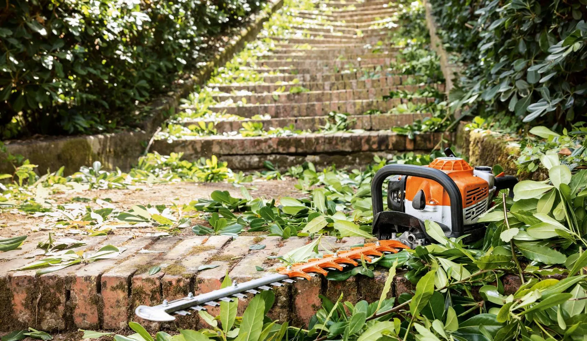 acheter taille haie thermique pas cher à Ollioules Var