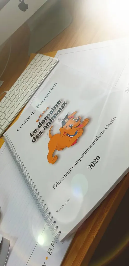 formation d'educateur canin comportementaliste