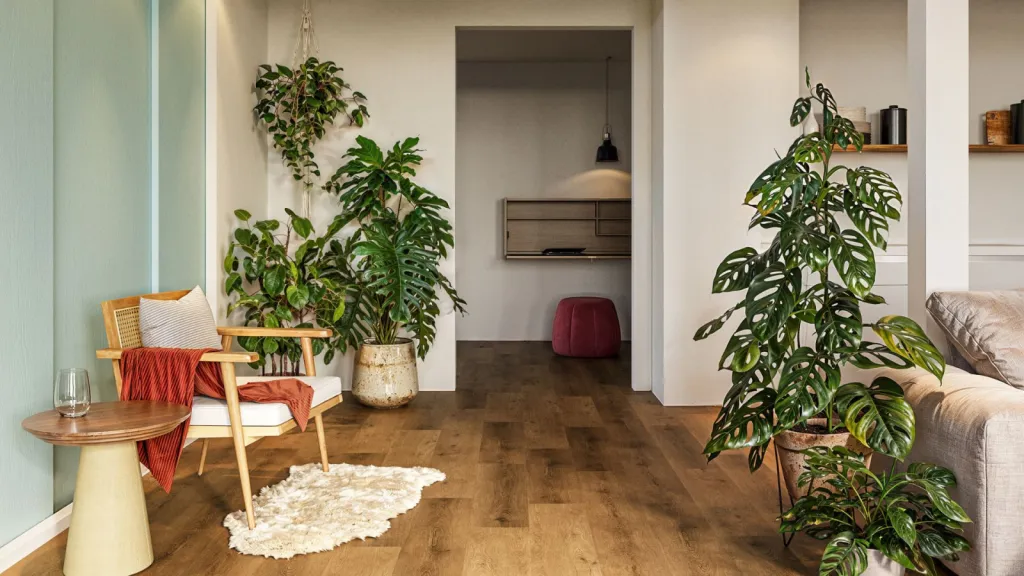 Notre zone d'activité pour ce serviceMagasin spécialisé dans les parquets teck et chêne