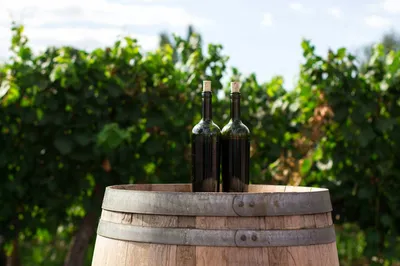 Solution pour l’envoi de bouteille de vin en cadeau à travers toute la France