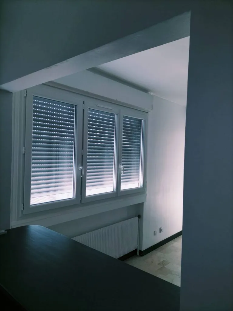 Installation de menuiseries PVC double vitrage à Lyon 6