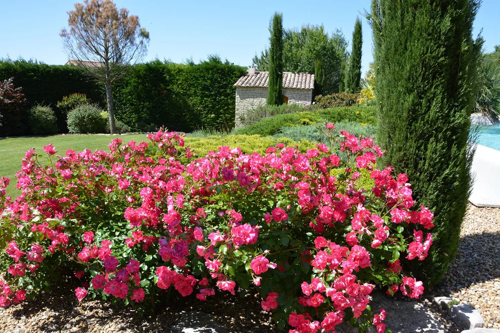 Carpentras : propriété de ville à 2 pas des commerces   