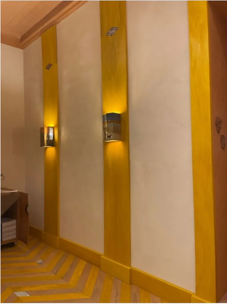 MURS ET PLAFONDS CHAUX TERRE DU MONDE A LA DESIGN PARADE 