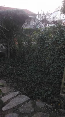 pose de claustras pour aménagement de jardins