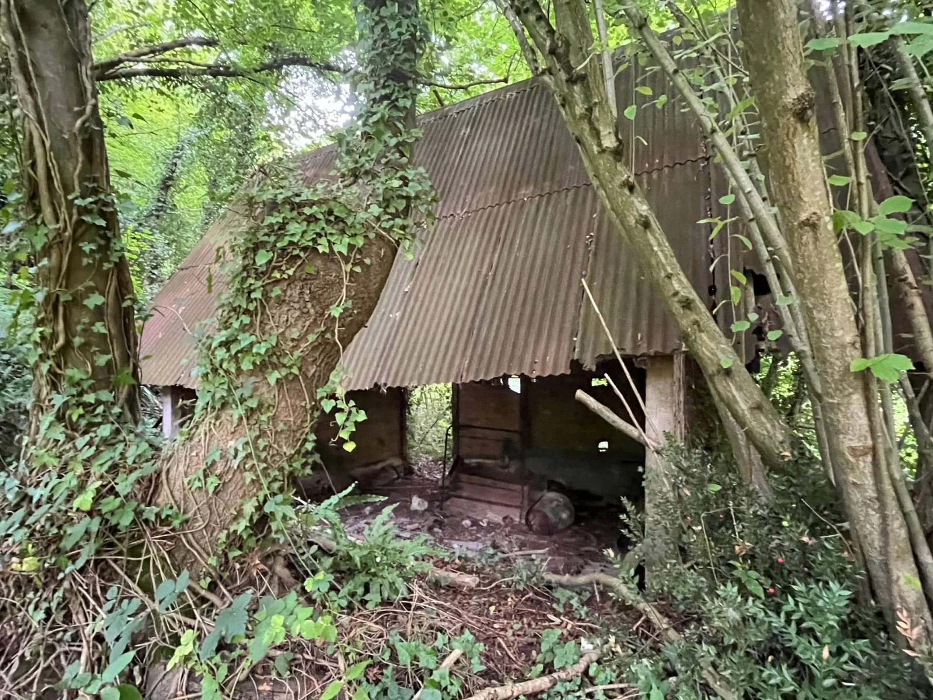 Terrain de loisir à vendre à Norville - Boisé - Vue Seine