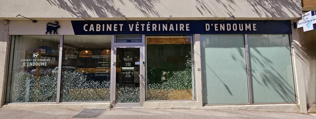 la clinique vétérinaire d'endoume