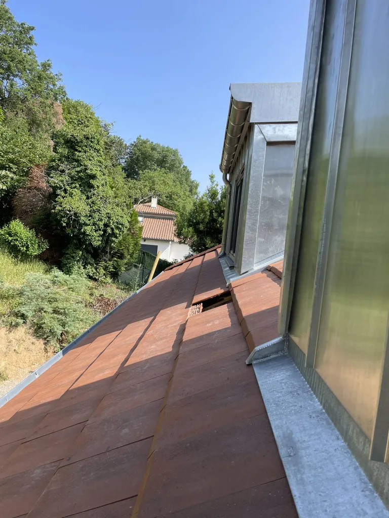 Fenêtres de toit type 