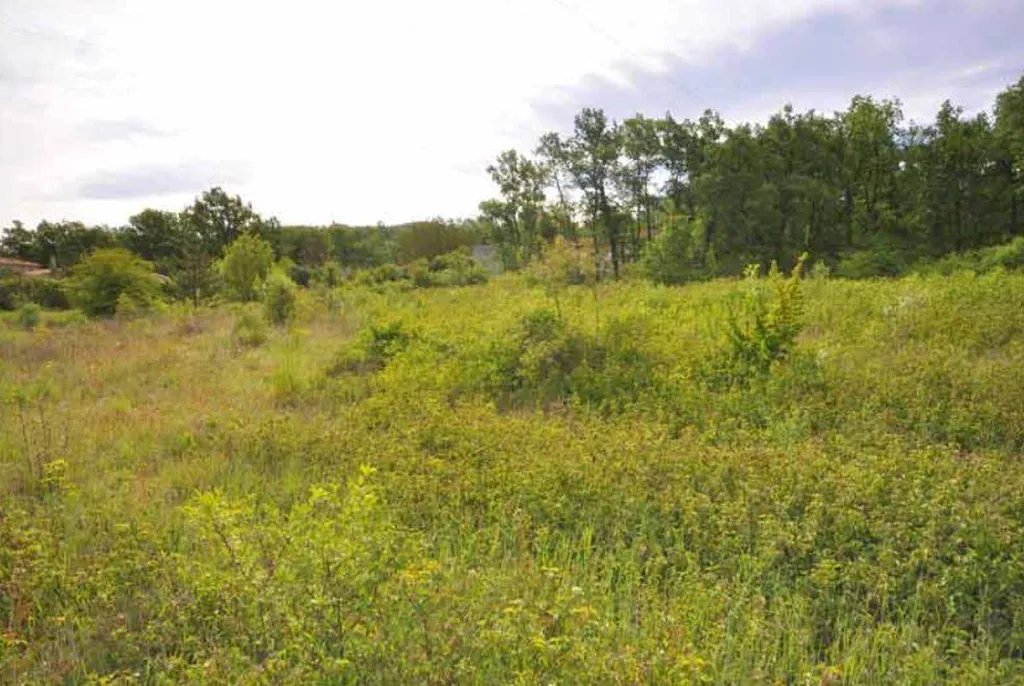 Terrain à bâtir pour faire construire une maison à Oraison