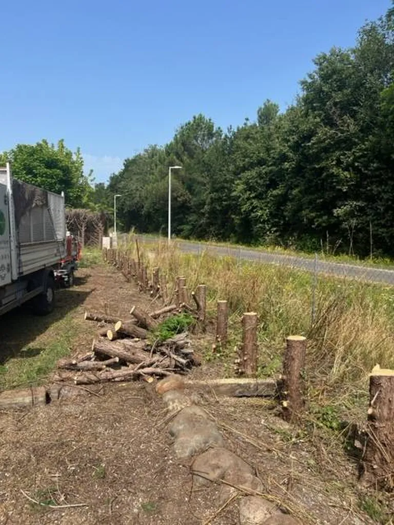 Transformation de votre espace extérieur verdoyant avec Evolution Paysage