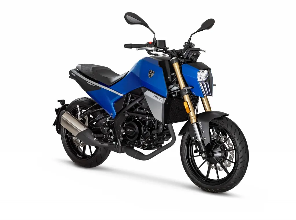 PEUGEOT PM-03 300 ABS OLLIOULES