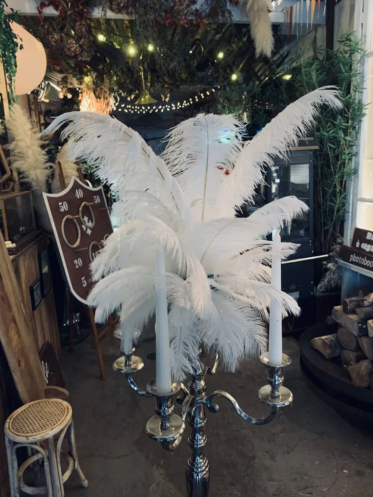 Location de plumes d'autruche 