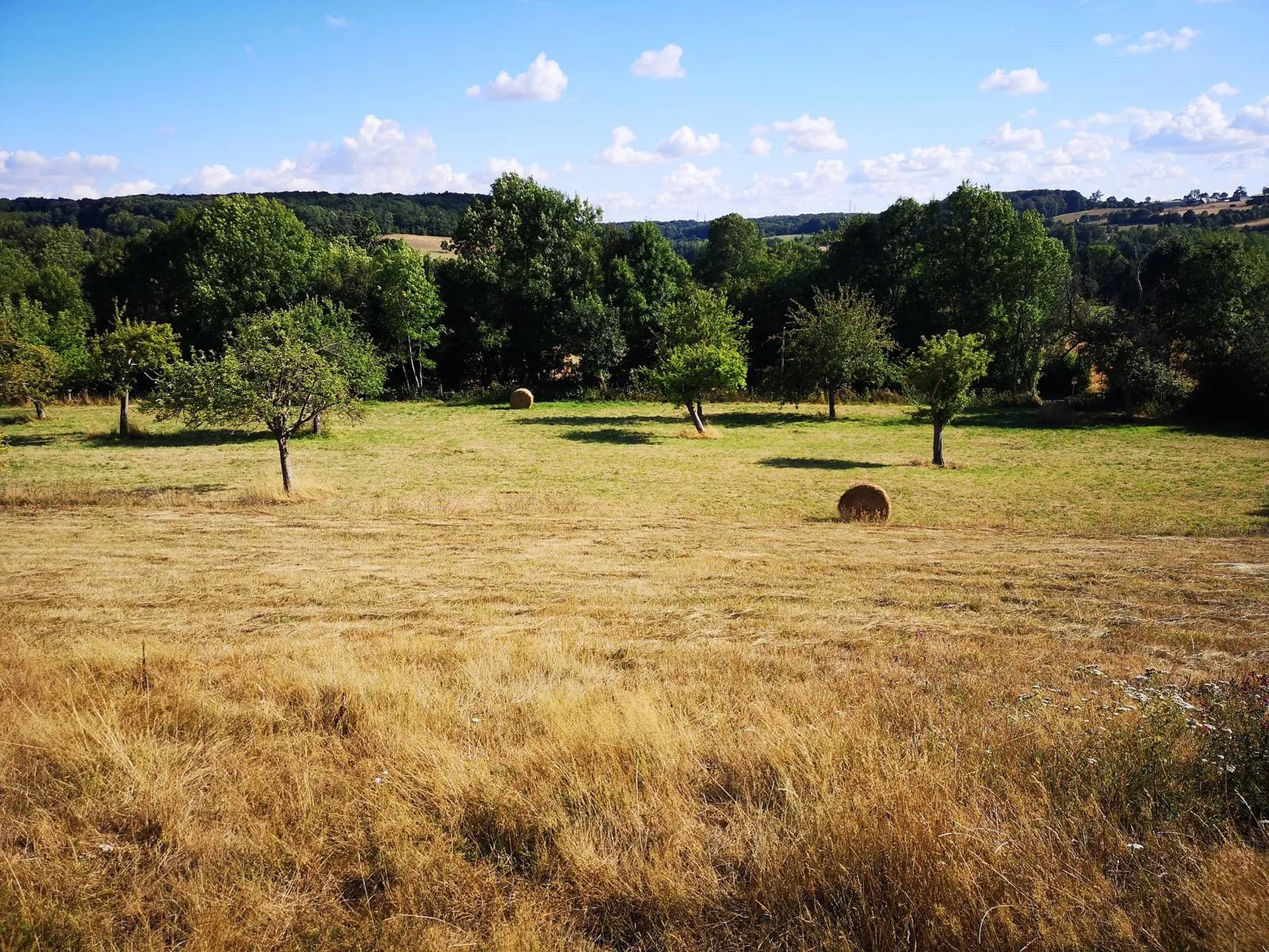 En vente Maison en colombages avec vue dans le Pays d'Auge