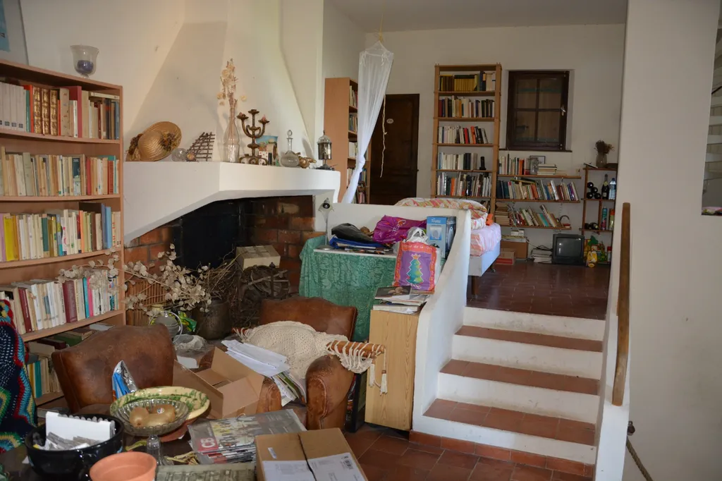 Un salon avec cheminée de cette maison en viager