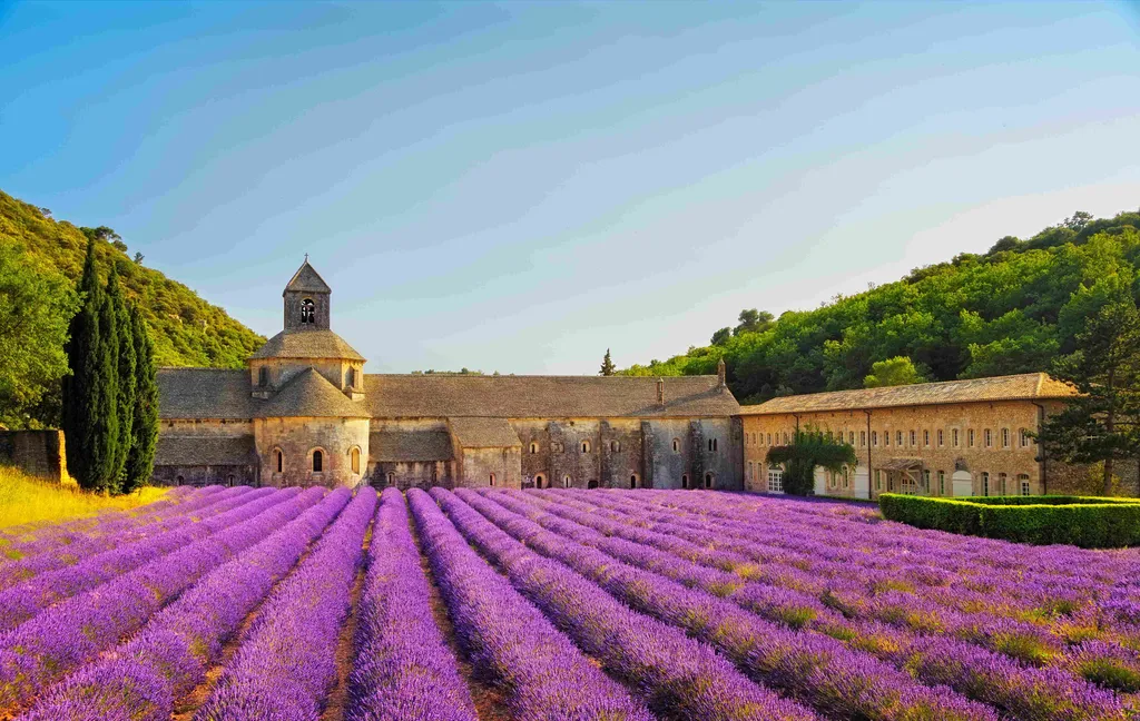 L’Abbaye de Sénanque : un joyau spirituel au cœur des lavandes