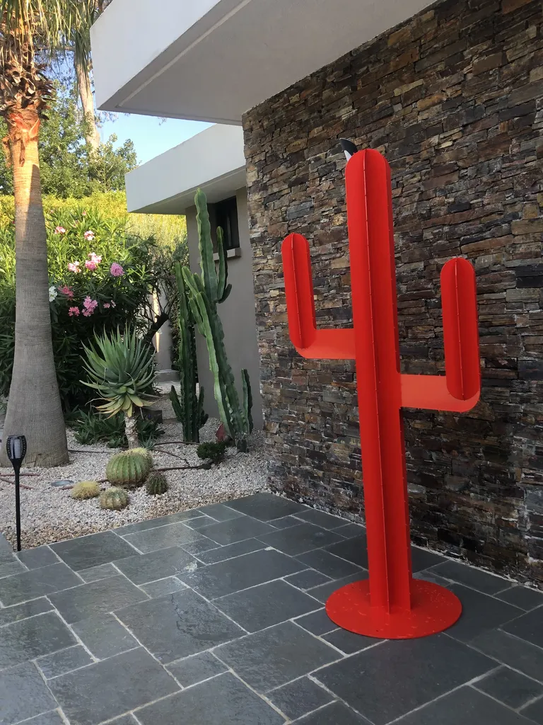 cactus de décoration extérieur